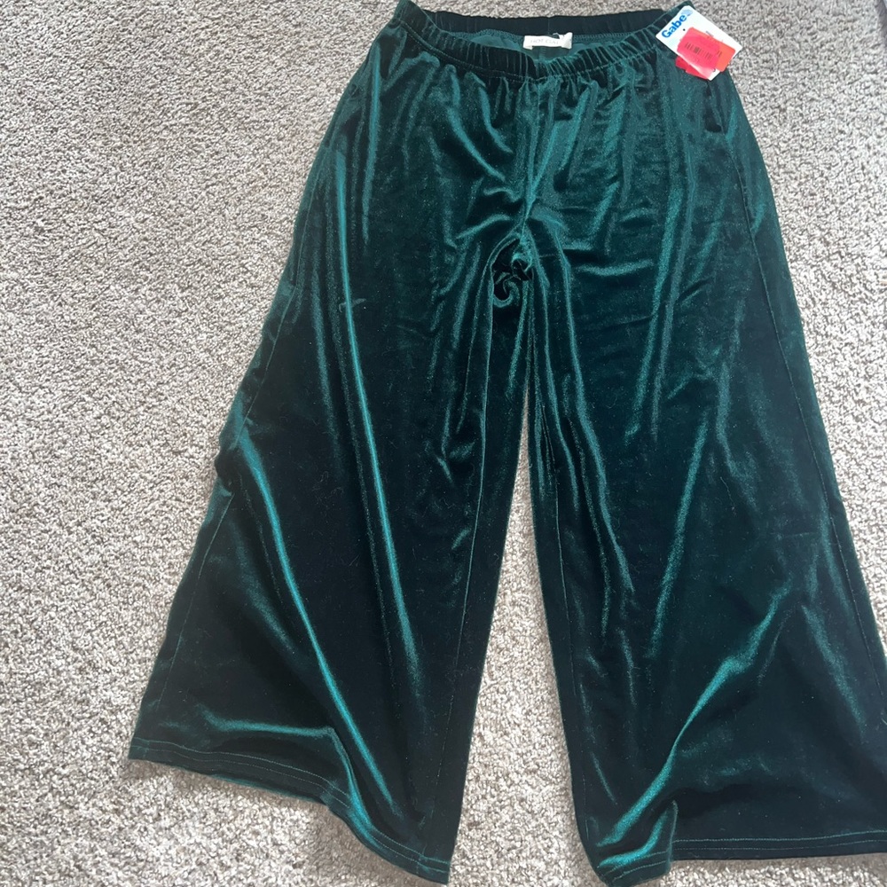Nwt velour pants